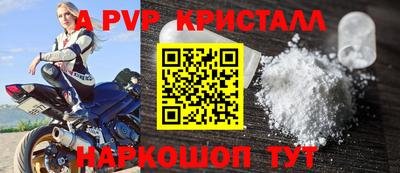 гидра Кингисепп