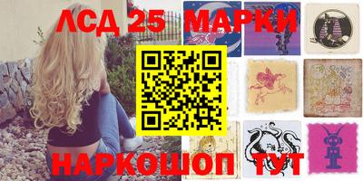 гидра Кингисепп