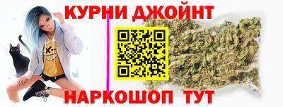 гидра Кингисепп