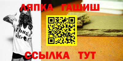 гидра Кингисепп
